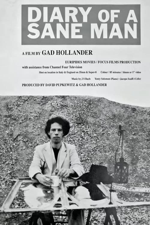 Diary of a Sane Manのポスター
