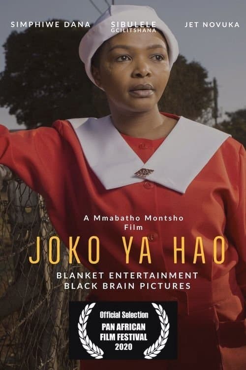 Joko ya Haoのポスター
