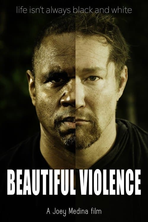 Beautiful Violenceのポスター