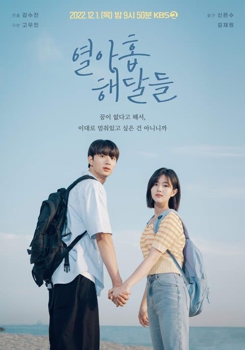 열아홉 해달들のポスター