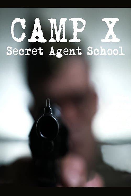 Camp Xのポスター