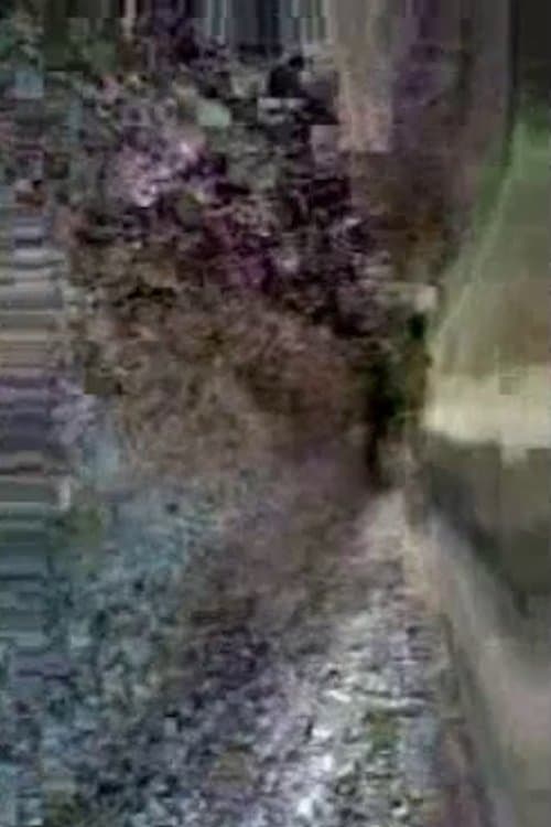 Preserving Cultural Traditions in a Period of Instabilityのポスター