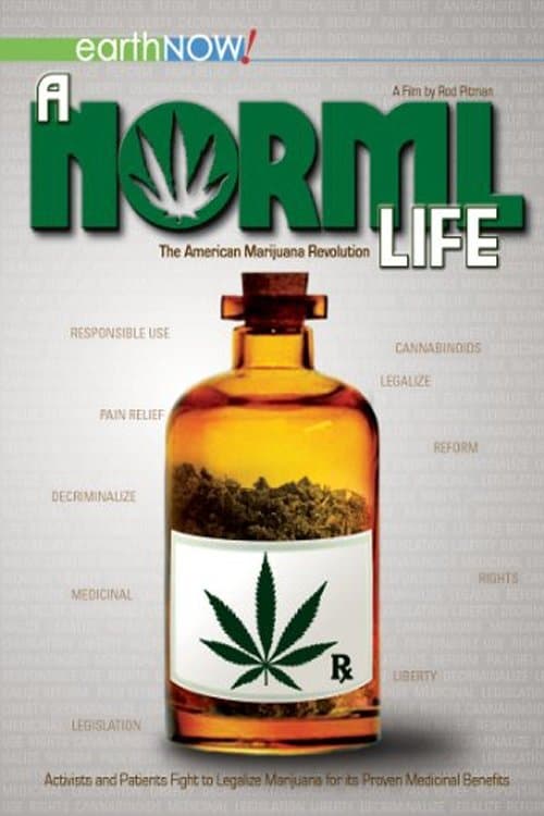 A Norml Lifeのポスター