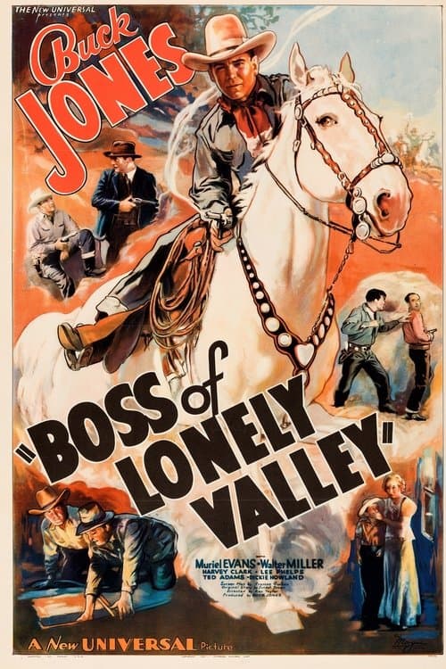 Boss of Lonely Valleyのポスター