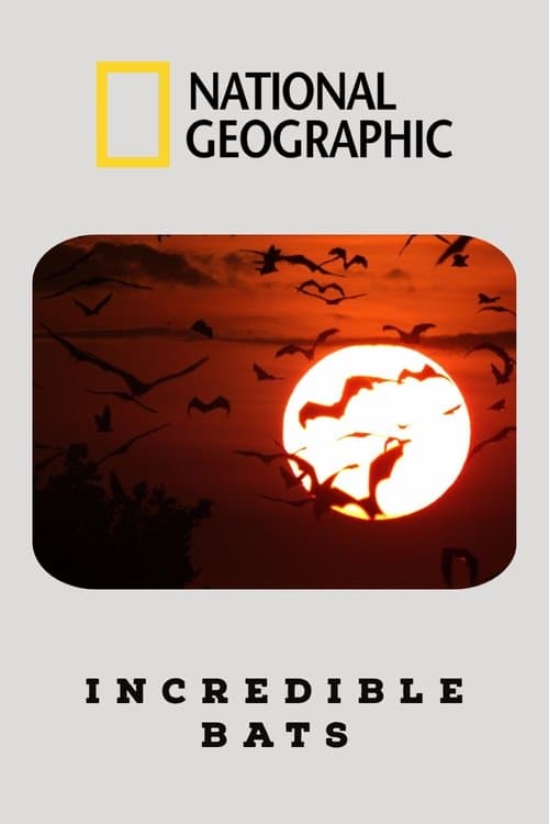 Incredible Batsのポスター