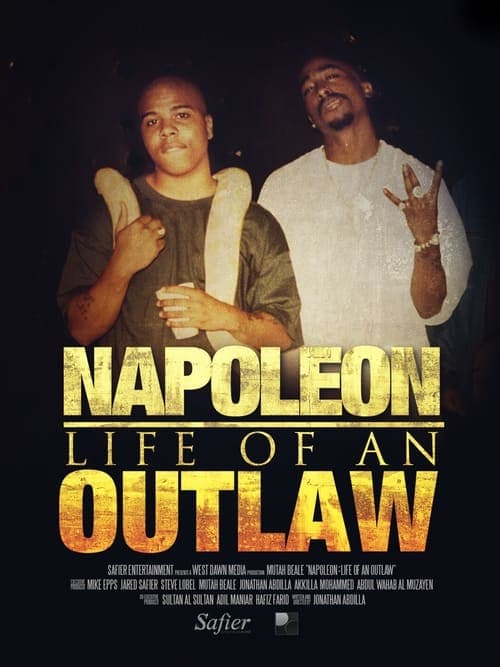 Napoleon: Life of an Outlawのポスター