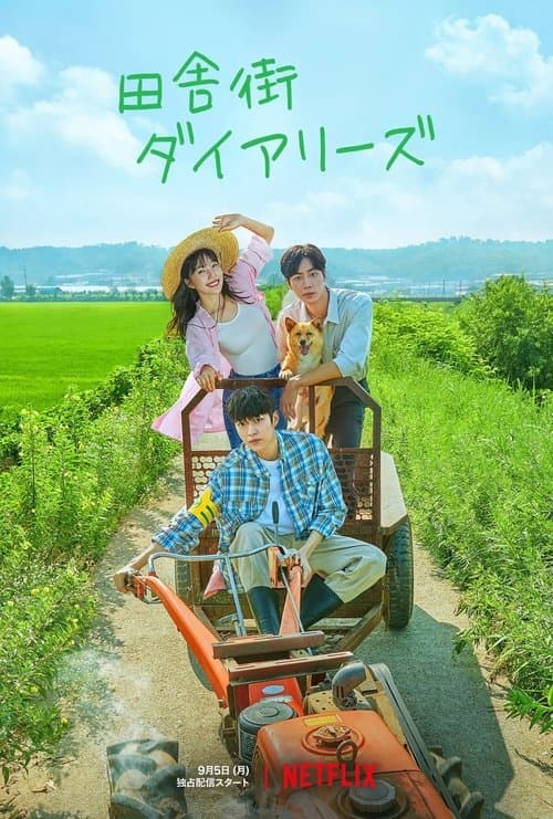 田舎街ダイアリーズのポスター