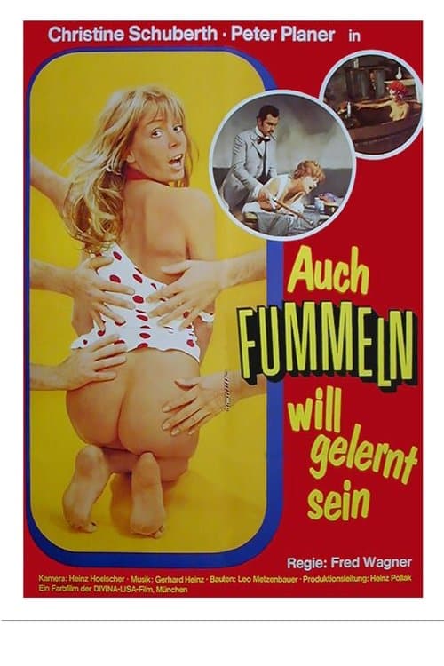 Auch Fummeln will gelernt seinのポスター