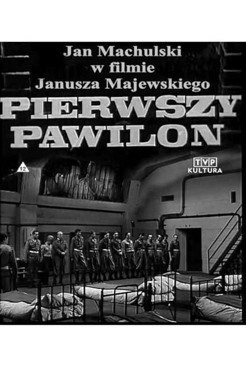 Pierwszy pawilonのポスター