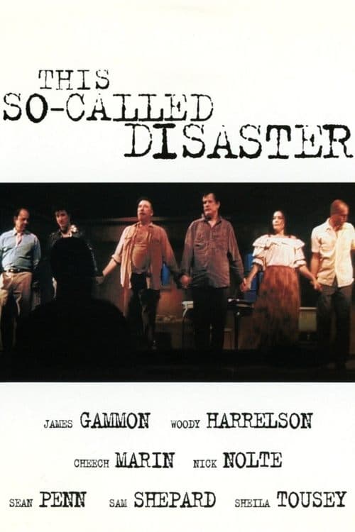 This So-Called Disasterのポスター