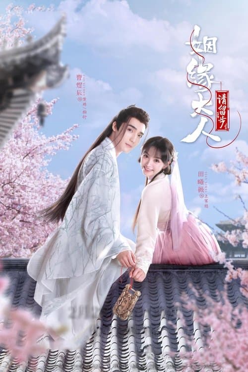 姻缘大人请留步のポスター