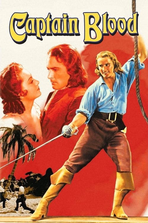 海賊ブラッドのポスター