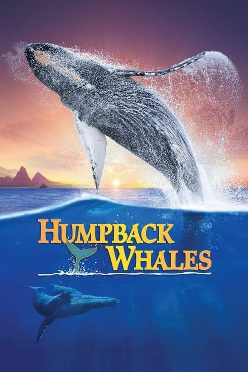 Humpback Whalesのポスター