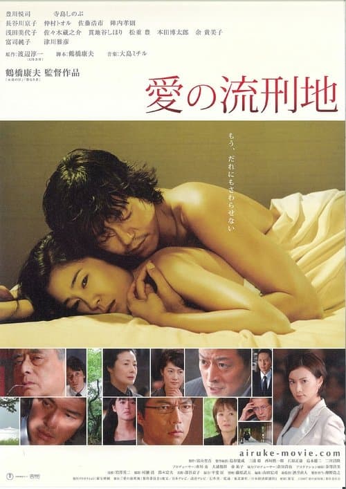 愛の流刑地のポスター