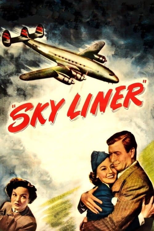 Sky Linerのポスター