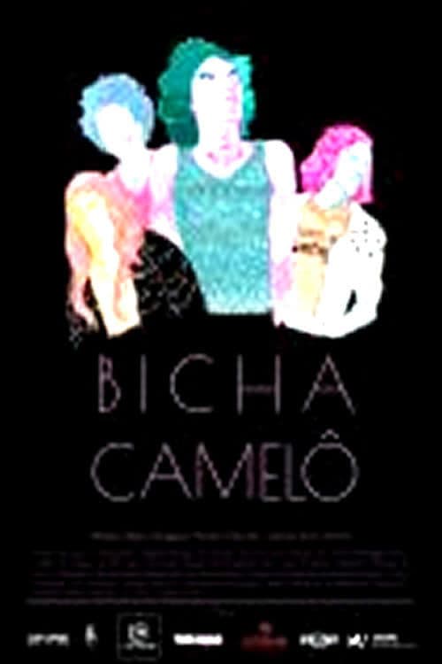 Bicha Camelôのポスター