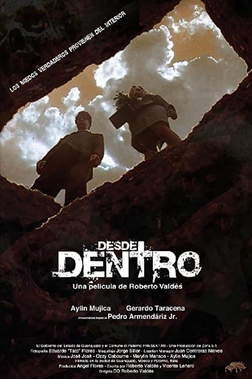 Desde dentroのポスター