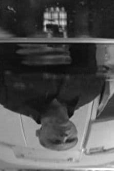 ماهی و منのポスター