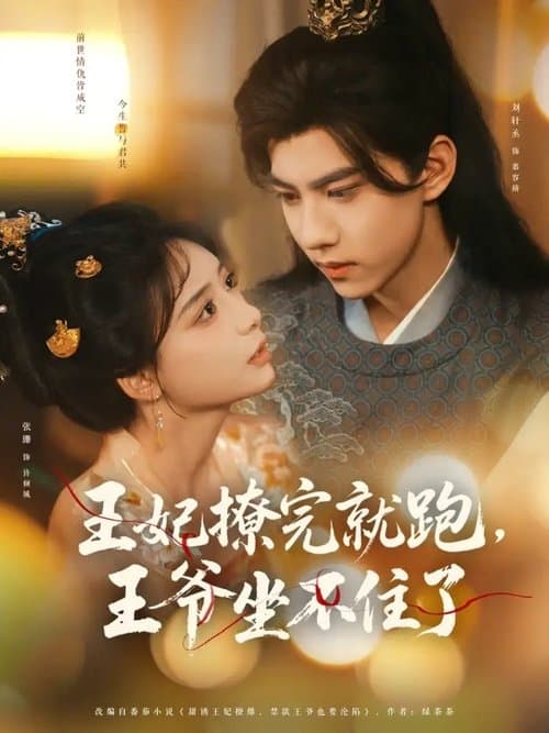 王妃撩完就跑，王爷坐不住了のポスター