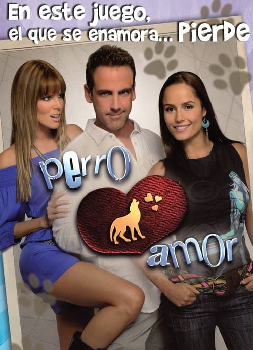 Perro Amorのポスター