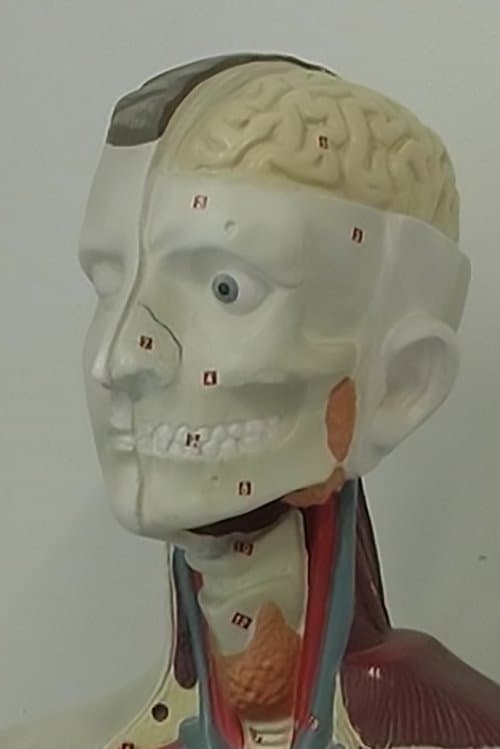 Esercizi di Cinemaのポスター