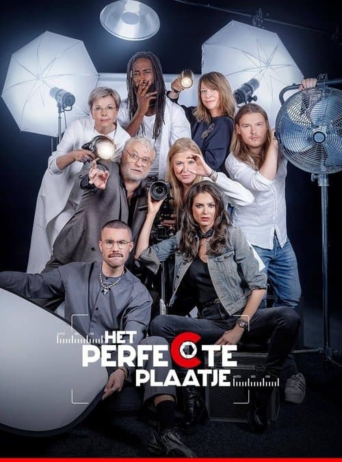 Het Perfecte Plaatjeのポスター