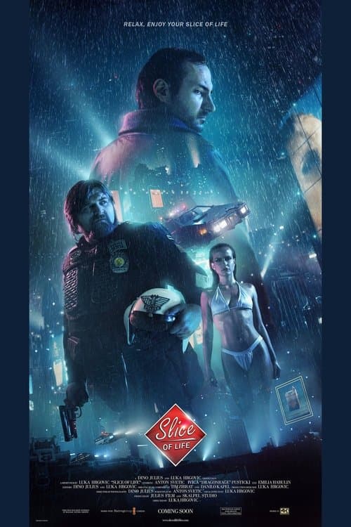 Slice of Lifeのポスター