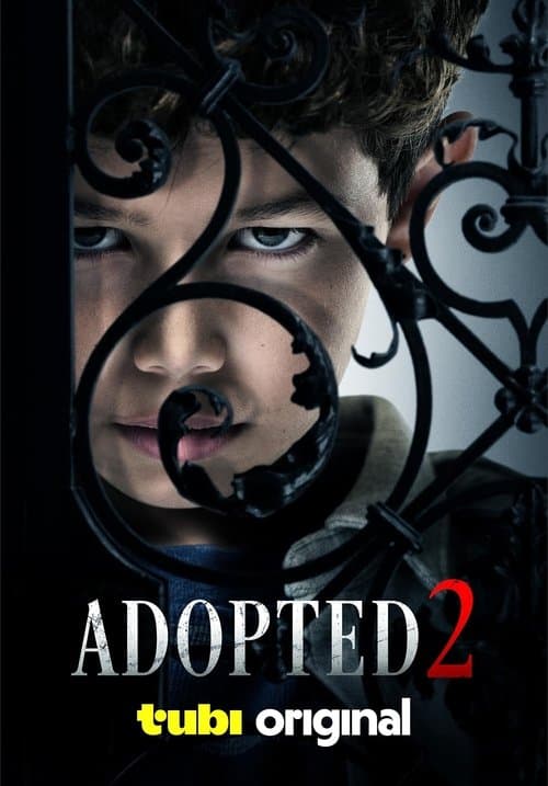 Adopted 2のポスター