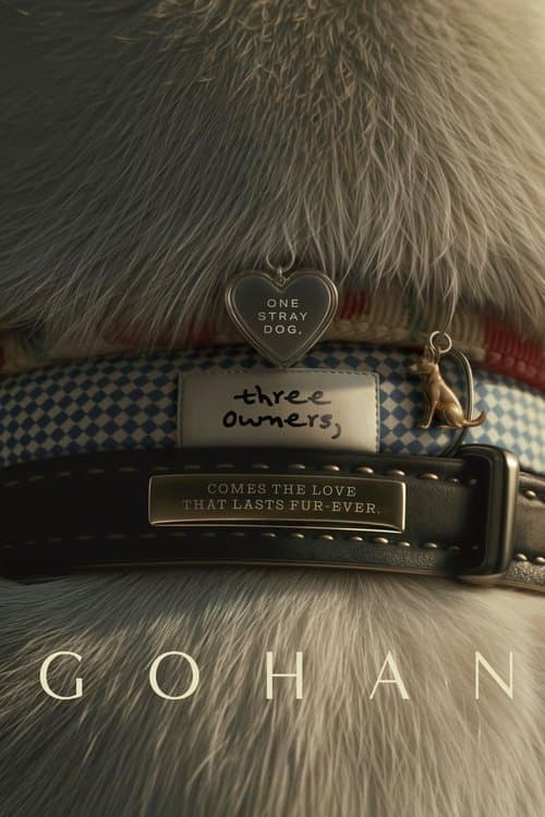 โกฮังのポスター