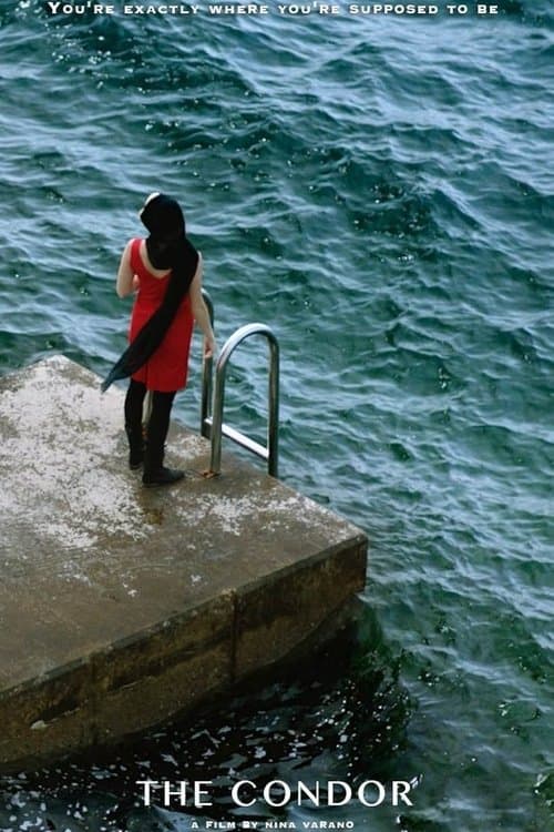 The Condorのポスター