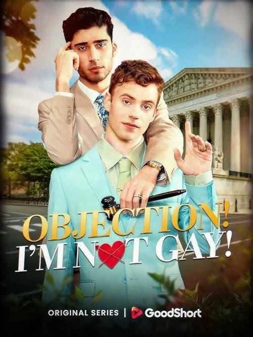 Objection! I'm Not Gay!のポスター