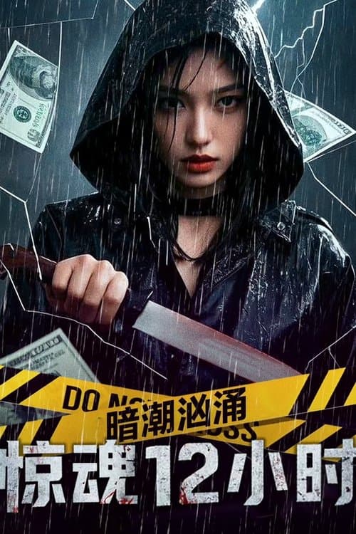 暗潮汹涌之惊魂12小时のポスター