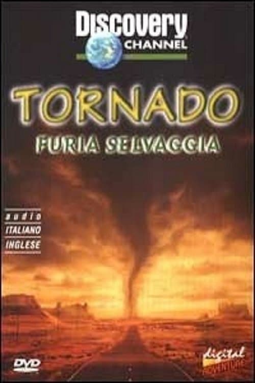 Storm forces tornadoesのポスター