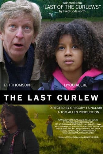 The Last Curlewのポスター