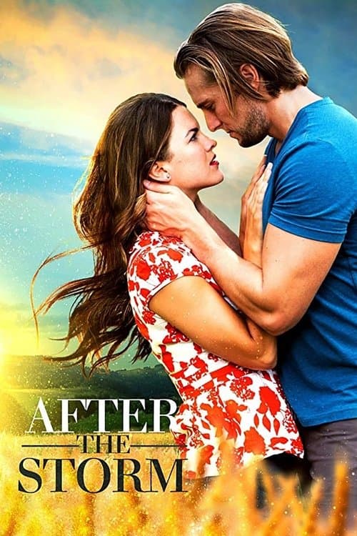 After the Stormのポスター