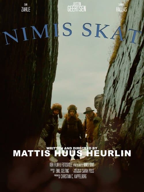Nimis Skatのポスター