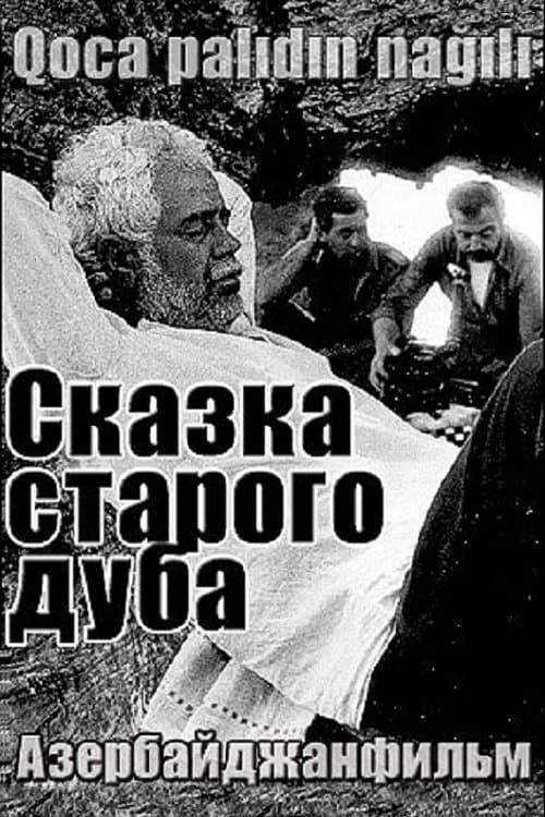 Qoca Palıdın Nağılıのポスター