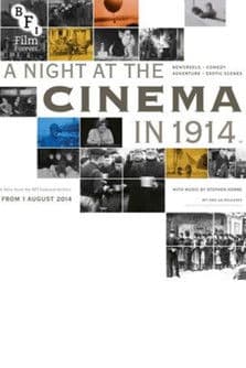 A Night at the Cinema in 1914のポスター