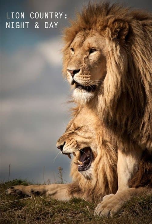 Lion Country: Night and Dayのポスター