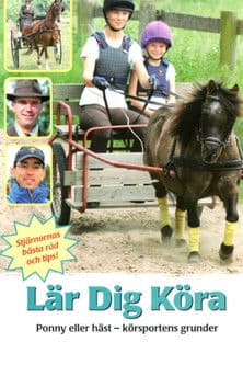 Lär dig köraのポスター