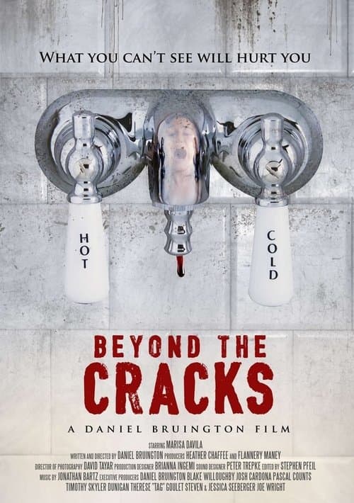 Beyond the Cracksのポスター