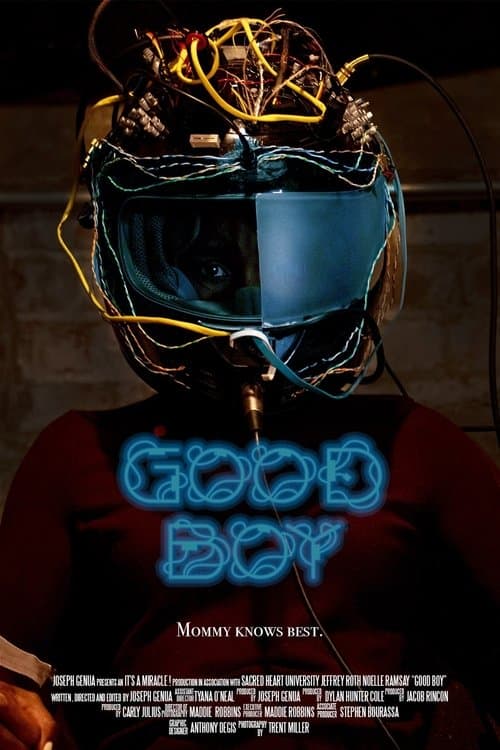 Good Boyのポスター