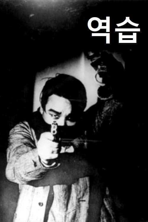 역습のポスター