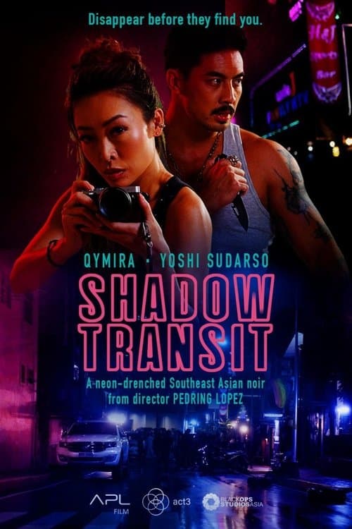 Shadow Transitのポスター