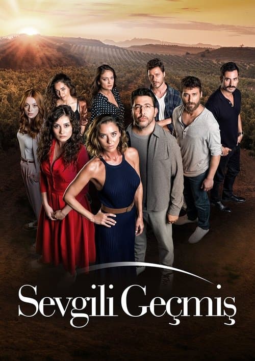 Sevgili Geçmişのポスター