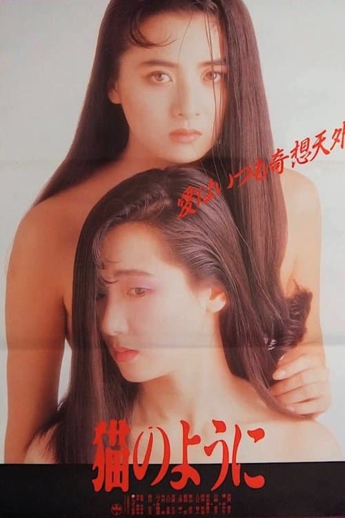 猫のようにのポスター