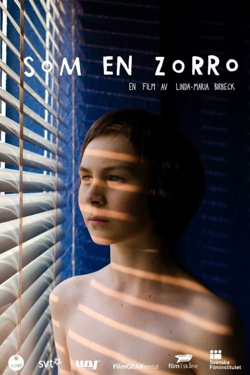 Som en Zorroのポスター