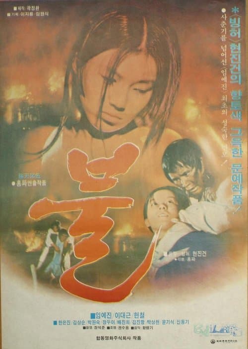불のポスター