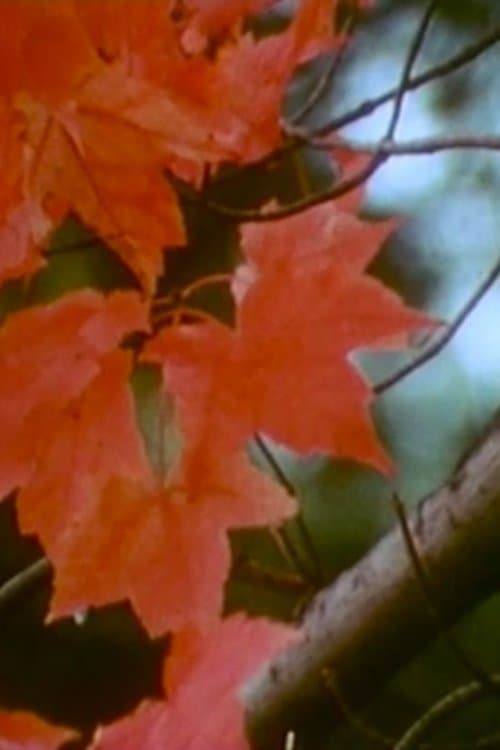 Discovery in a Landscapeのポスター