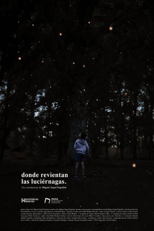 Donde revientan las luciérnagasのポスター